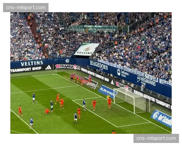 沙尔克04主场费尔廷斯竞技场启动座椅全面更换工程